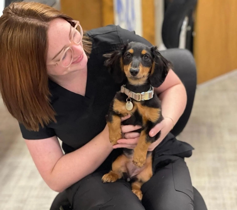 Brookhollow Veterinary Clinic - Palestine, TX