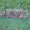 Meek Brothers Landscaping gallery