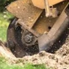 Benac Stump Grinding gallery