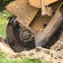 Benac Stump Grinding - Landscaping & Lawn Services