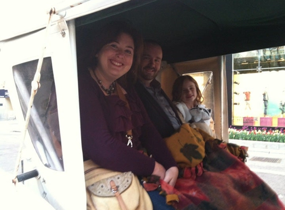 Chicago Horse and Carriage - Chicago, IL