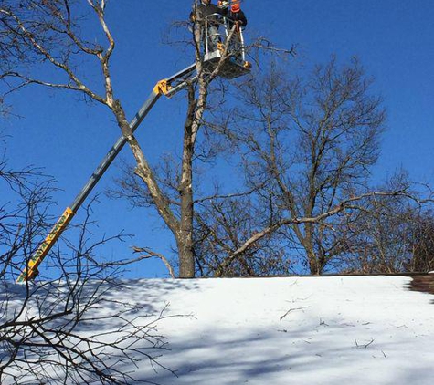 Hansons Tree Service & Landscaping