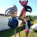 Rockin Rooster Inc - Wine