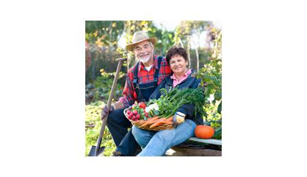 Absolute Health - Nambour Chiropractor and Physiotherapist - Nambour, QLD