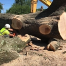 Stockton Tree Service - Tree Service