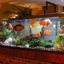 Tank Wise, L.L.C. - Aquariums & Aquarium Supplies