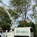 3 Brothers Tree Service - Stump Removal & Grinding