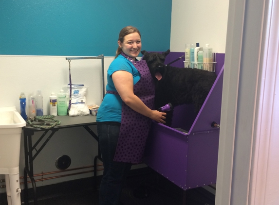 All Cats & Dogs Grooming - Chico, CA