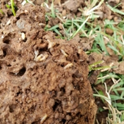 Gallery Image Number 6