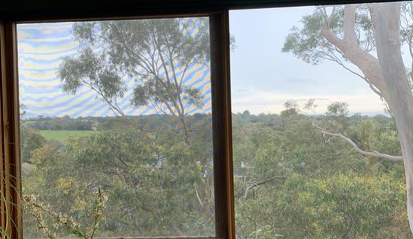 Global Arborist Australia - Port Melbourne, VIC