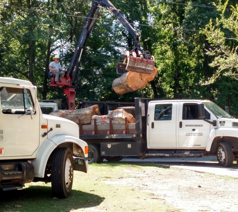 Broken Branch Tree Service - Salem, AL