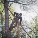 Blackhawk Tree Inc - Tree Service