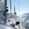 Chesapeake Windsail Cruises Corporation gallery