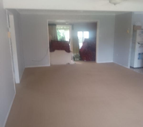 Pro Carpet & Upholstery Cleaning - Currimundi, QLD