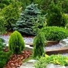 Pinehaven Nursery & Landscaping gallery