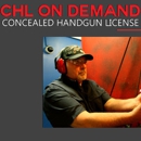 CHL On Demand - Gun Safety & Marksmanship Instruction