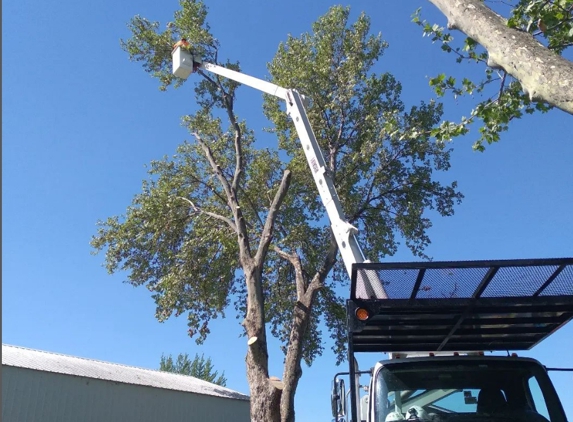 Trickinnex Tree Trimming & Falling, LLC - Naches, WA