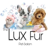 Lux Fur Pet Salon gallery