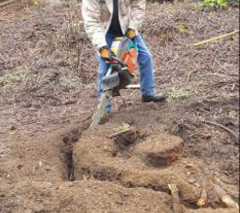 Mini Trencher - Vancouver, WA