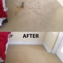Full Steam Carpet Cleaning & Restoration