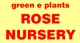 Green E Roses