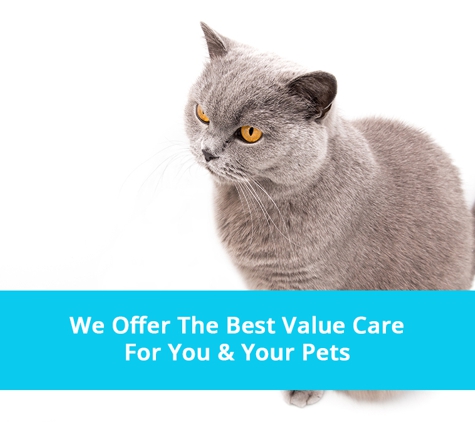 Sunshine Beach Veterinary Surgery - Sunshine Beach, QLD. We Offer The Best Value Care For You & Your Pets