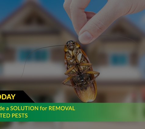 Ridley's Pest Control - Echuca, VIC. We Will Provide A Solution For Removal Of All Unwanted Pests