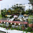 East Hampton Flowers - Flowers, Plants & Trees-Silk, Dried, Etc.-Retail