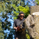 Tosa Tree Care - Tree Service