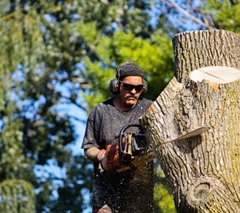 Tosa Tree Care - Wauwatosa, WI