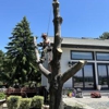 On The Block Landscape and Tree Service gallery