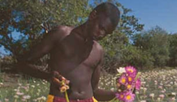Cape York Land Council - Parramatta Park, QLD