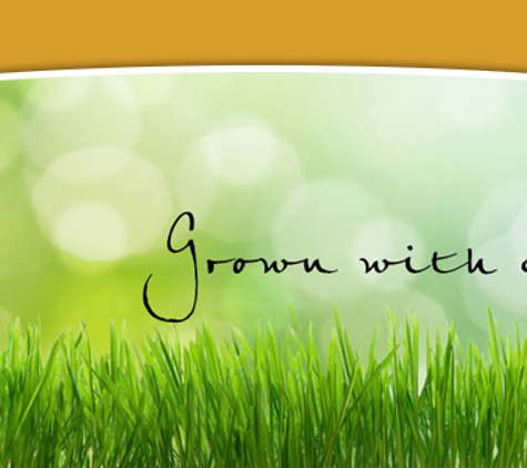 Rivers Edge Turf Pty Ltd - Wilberforce, NSW. Different types of turf supplies.