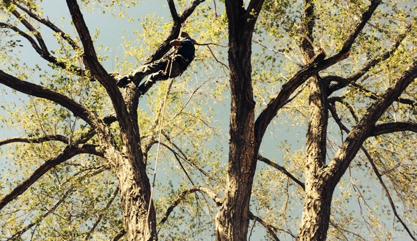 Titan Tree Service - Sun Valley, NV. Fun Times