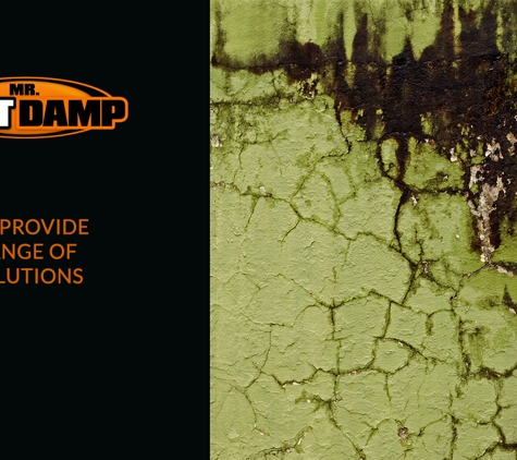 Mr Salt Damp - Glen Osmond, SA. We Provide Range Of Solutions