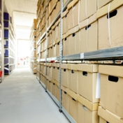 Gallery Image Number 6