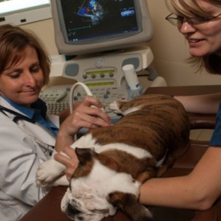 The COVE - Center of Veterinary Expertise - Suffolk, VA