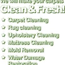 Brooklyn Carpet Cleaning CO - Carpet & Rug Repair