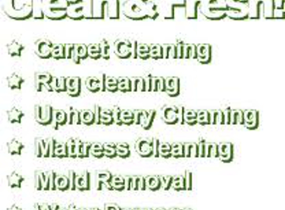 Brooklyn Carpet Cleaning CO