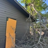 Douglas Tree Service ATX gallery