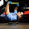 AMSVS gallery