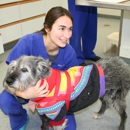 Massachusetts Veterinary Referral Hospital - Pet Services