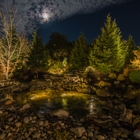Moon Shadows Landscape Lighting, LLC