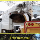 Mike's Tree Service - Tree Service