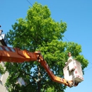 Watkins Tree Experts - Tree Service