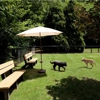 Hunters Run Luxury Apartments gallery