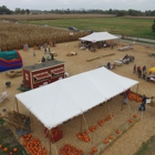 Hogan Farms Pumpkin Patch & Corn Maze