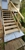 Gold Star Maintenance - Home Maintenance & Repairs