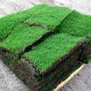 Western Grass - Sod & Sodding Service