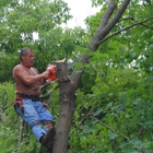 Green Mountaineers Tree Service